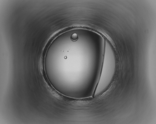 X0000108480984200904031426