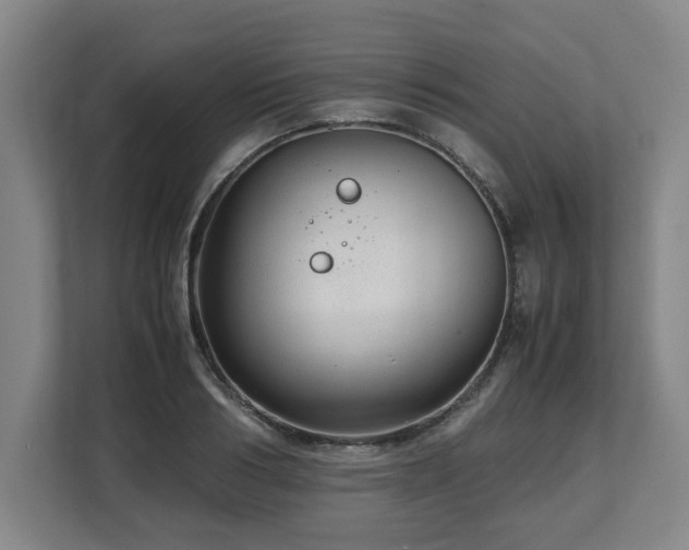 X0000108480986200904031426