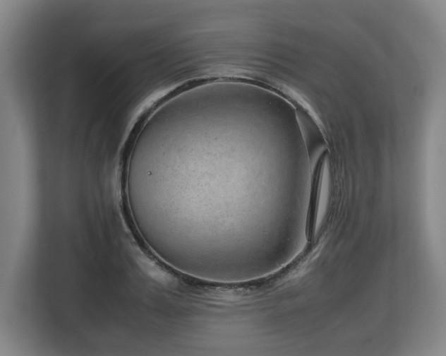 X0000108480987200904031426