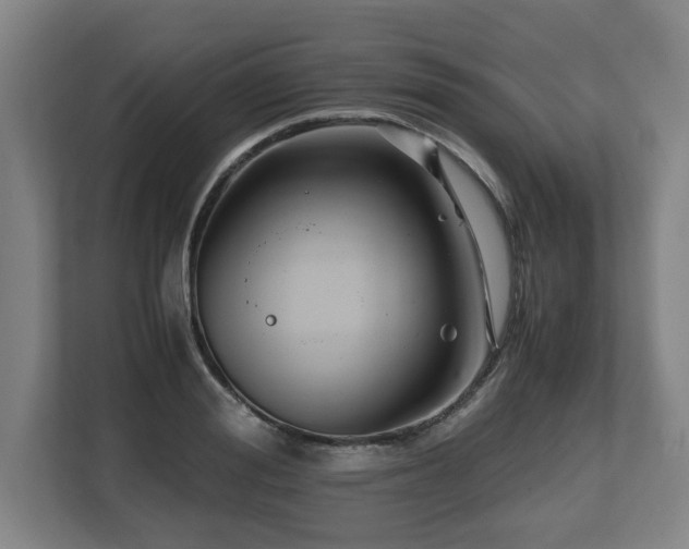 X0000108480988200904031426