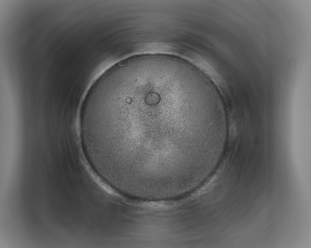 X0000108480990200904031426