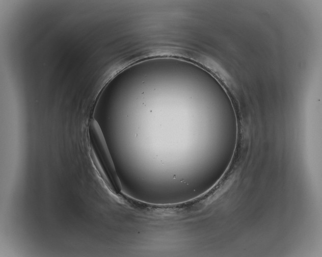 X0000108480993200904031426