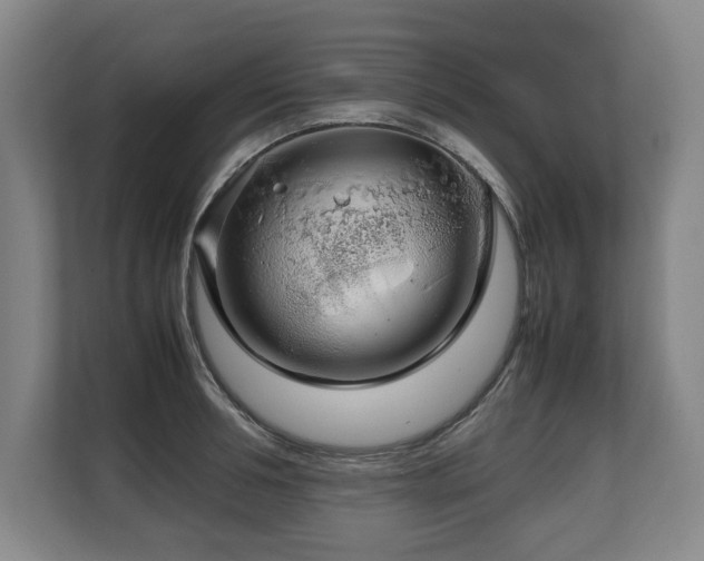 X0000108480994200904031426