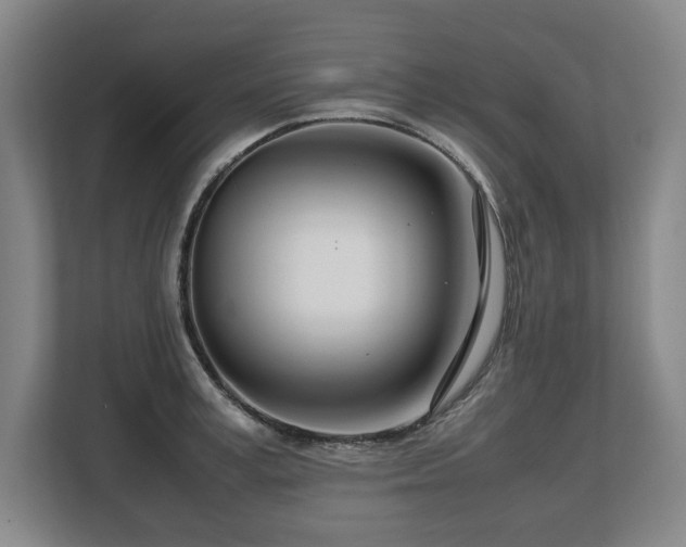 X0000108480995200904031426