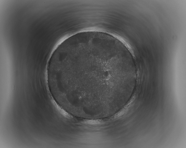 X0000108480998200904031426