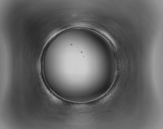 X0000108480999200904031426