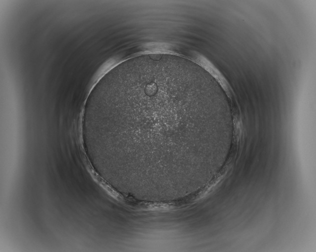 X0000108481002200904031426