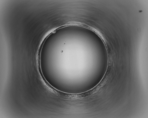 X0000108481003200904031426