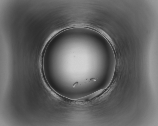X0000108481005200904031426