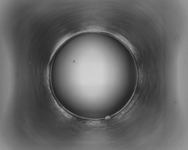 X0000108481006200904031426