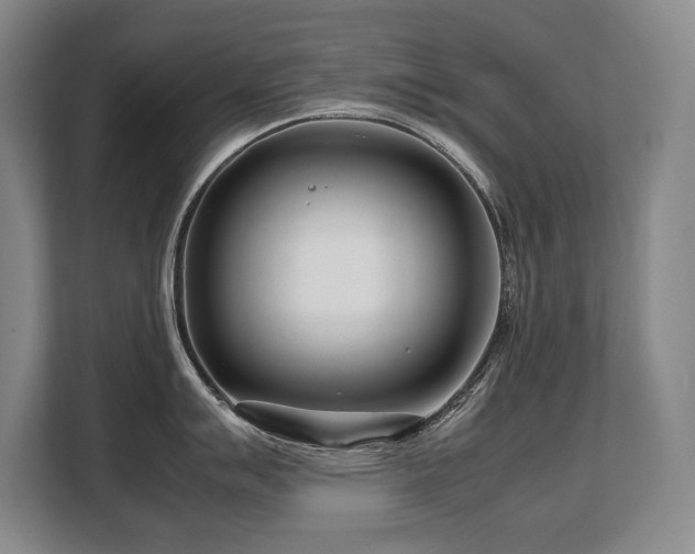 X0000108481007200904031426