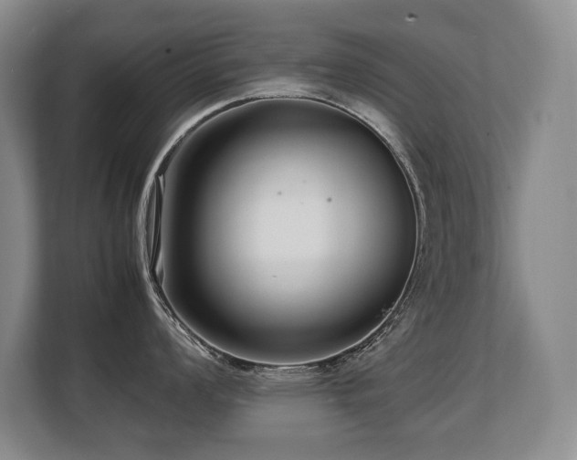 X0000108481008200904031426