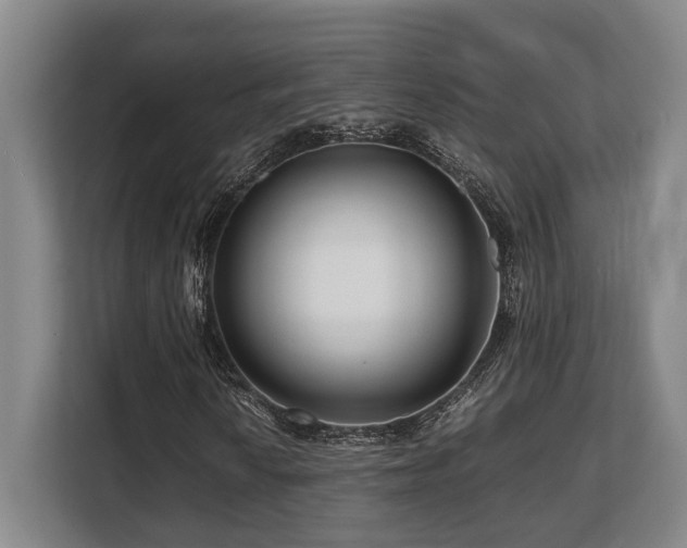 X0000108481010200904031425