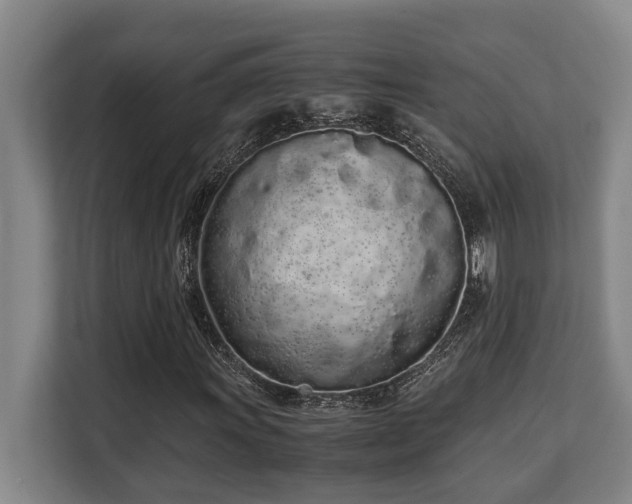 X0000108481011200904031425