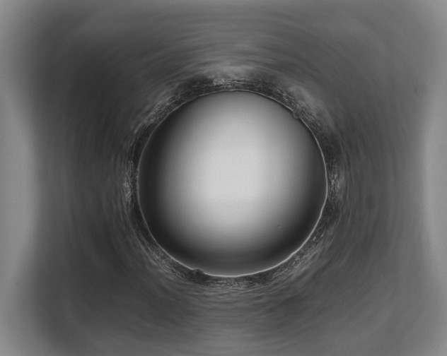 X0000108481012200904031425