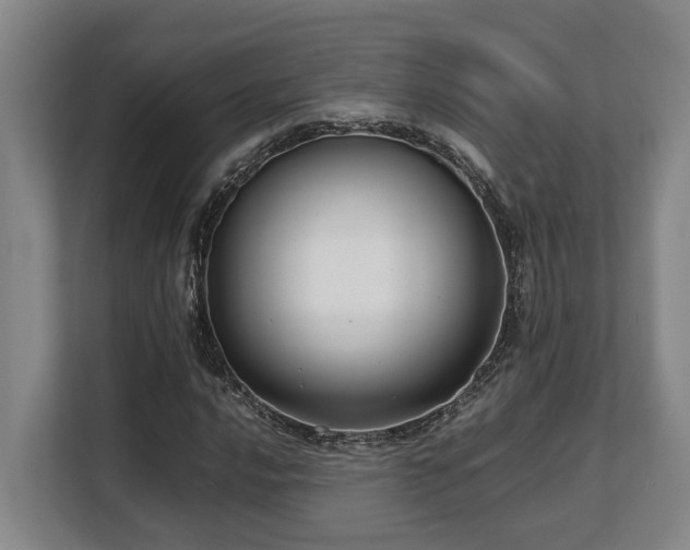X0000108481016200904031425