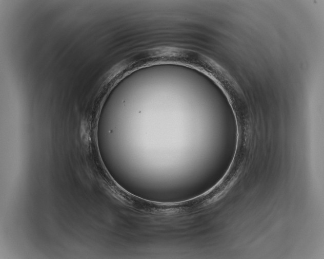 X0000108481017200904031425