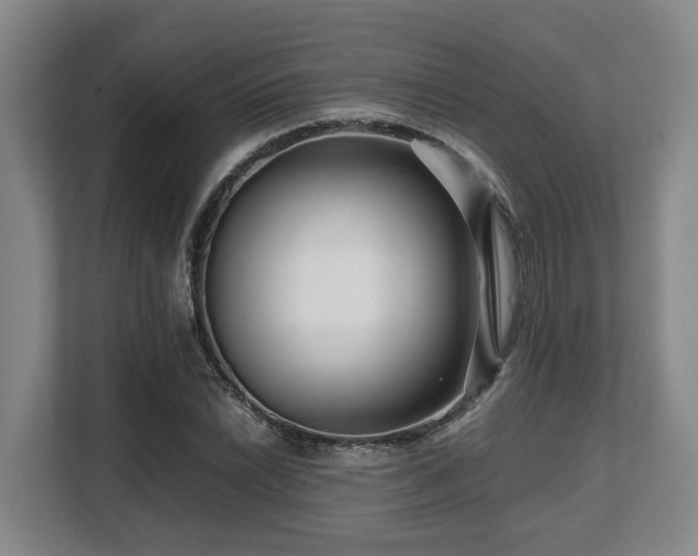 X0000108481022200904031425