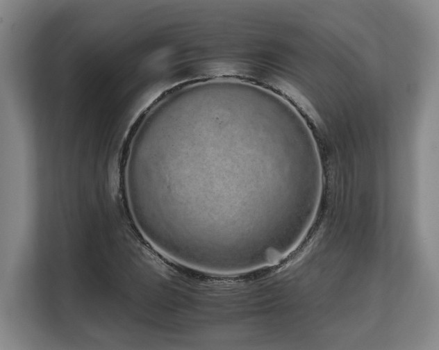 X0000108481023200904031425