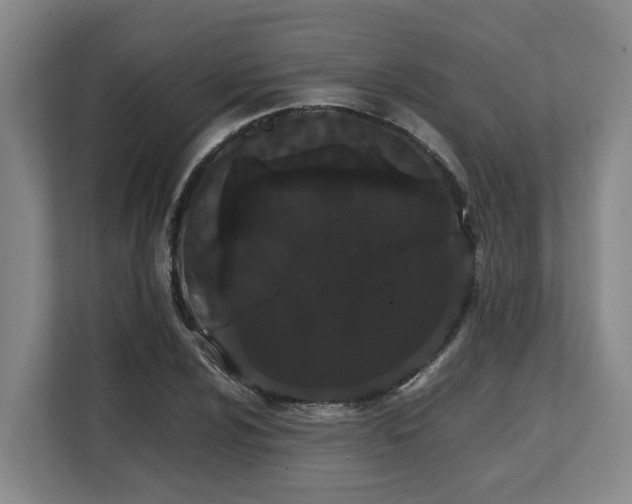 X0000108481024200904031425