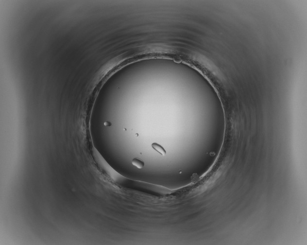 X0000108481025200904031425