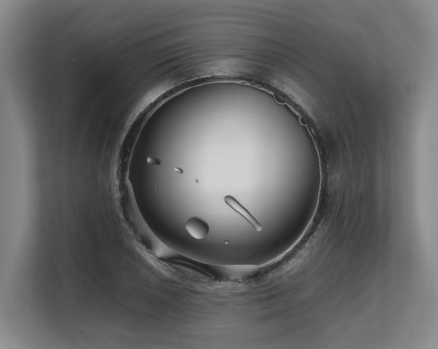 X0000108481026200904031425