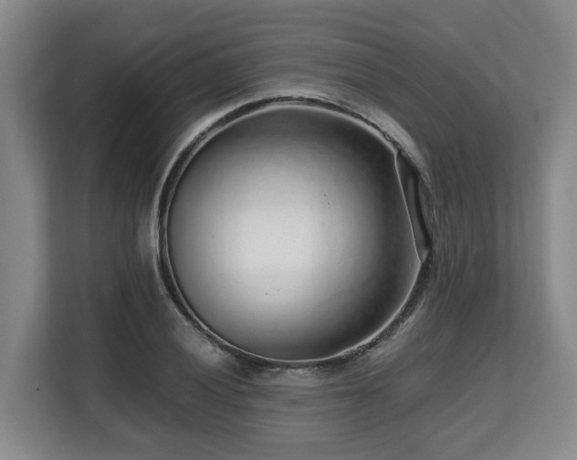 X0000108481028200904031425