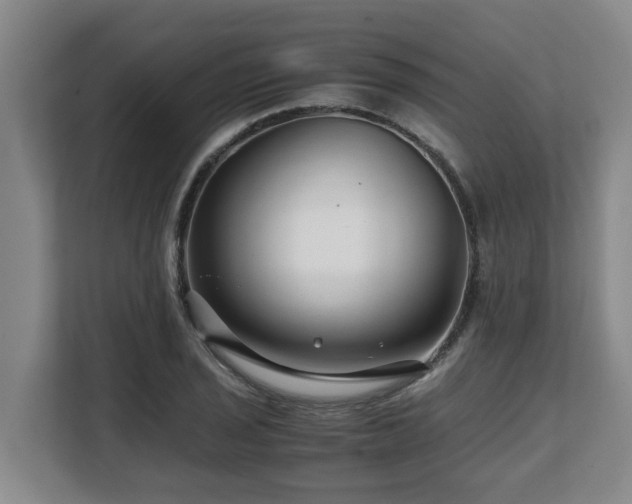 X0000108481029200904031425