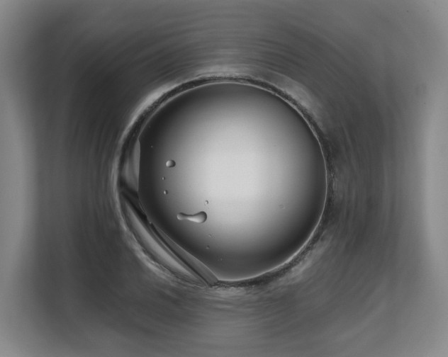 X0000108481030200904031425