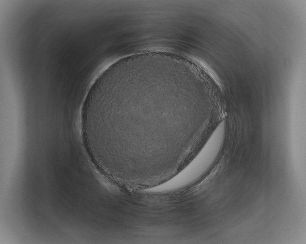 X0000108481031200904031425
