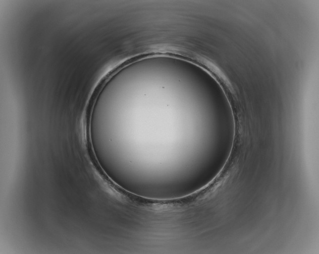 X0000108481032200904031425