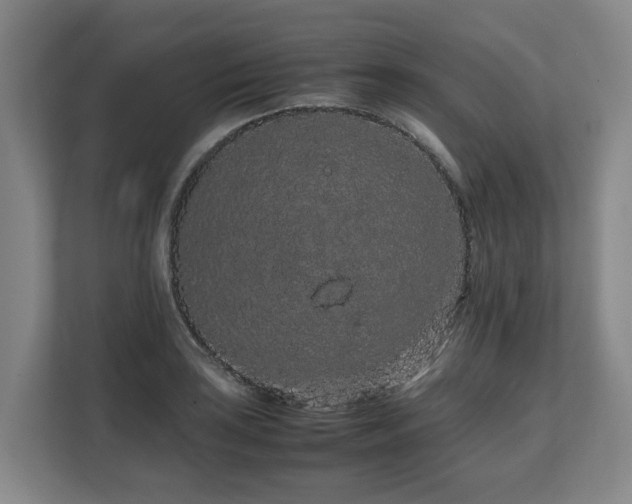 X0000108481035200904031425
