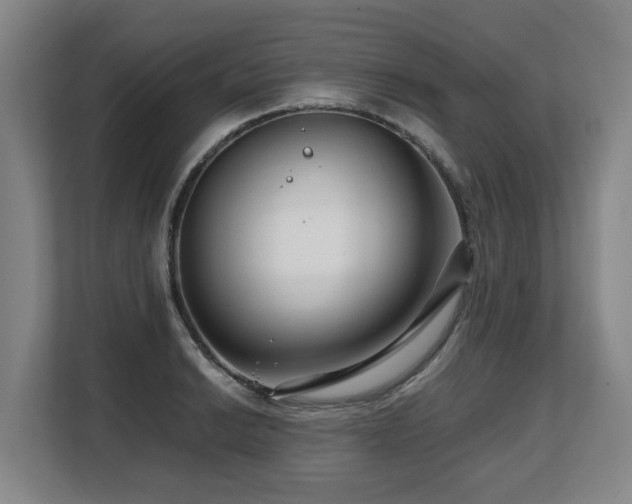 X0000108481038200904031425