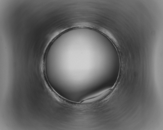 X0000108481040200904031425