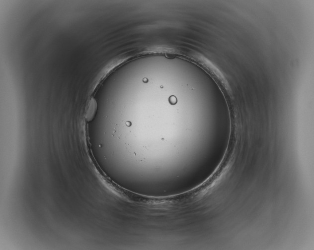 X0000108481041200904031425