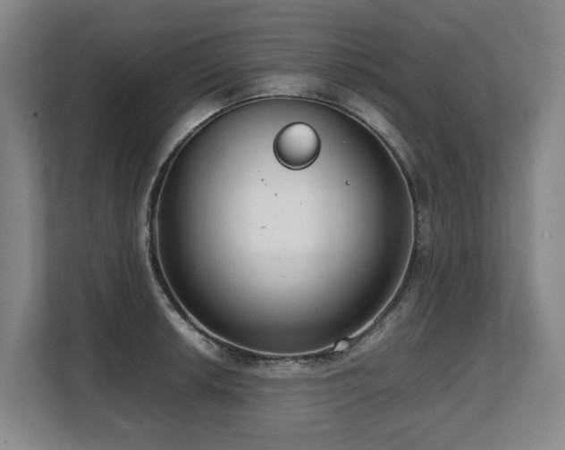 X0000108481042200904031425