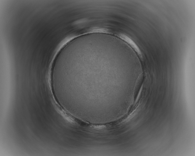 X0000108481043200904031425