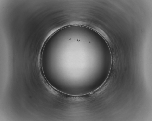 X0000108481044200904031425