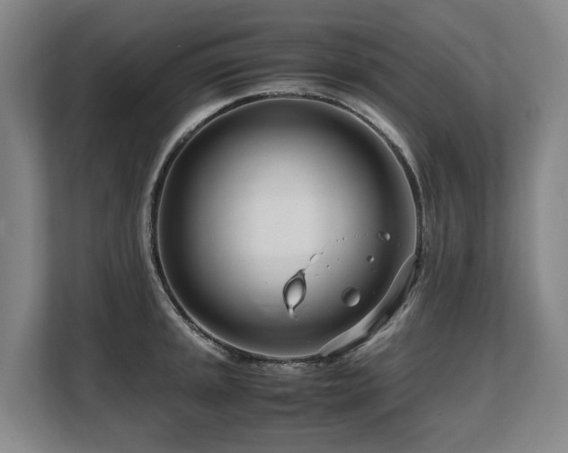 X0000108481045200904031425