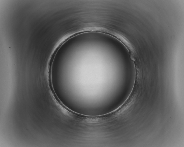 X0000108481046200904031425