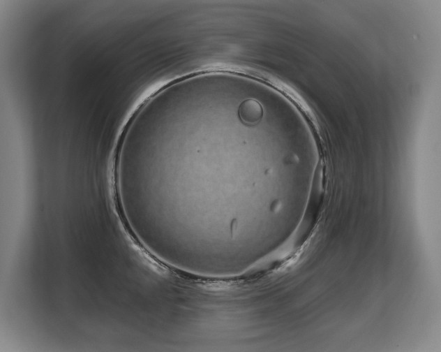 X0000108481048200904031425