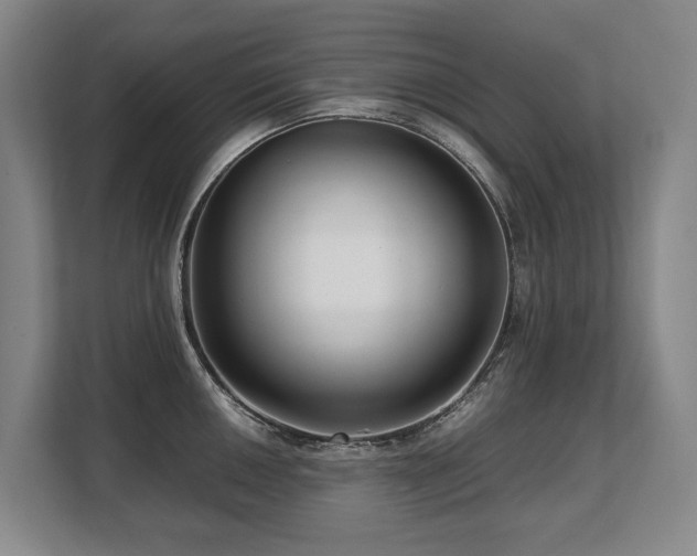 X0000108481050200904031426