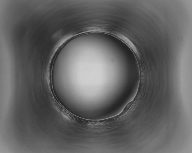 X0000108481051200904031426