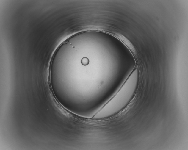 X0000108481052200904031426