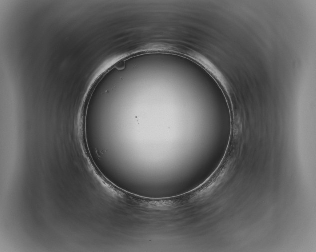 X0000108481053200904031426
