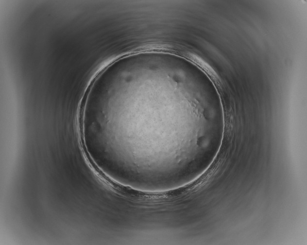 X0000108481055200904031426