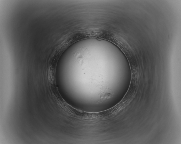X0000108481058200904031425