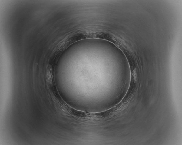 X0000108481059200904031425