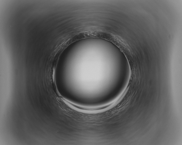 X0000108481060200904031425