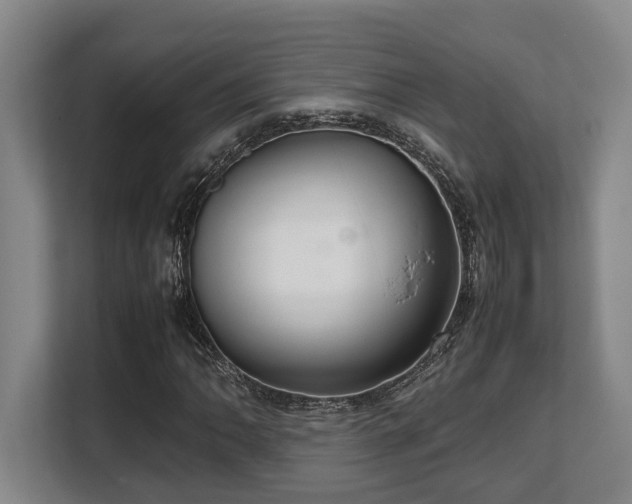 X0000108481062200904031425